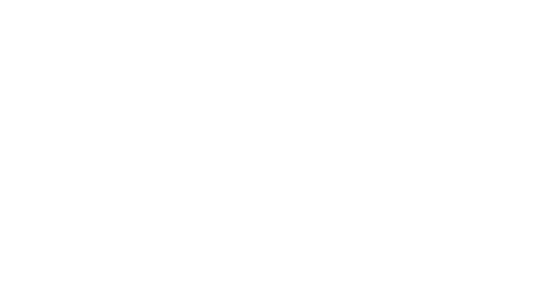 emeis logo white
