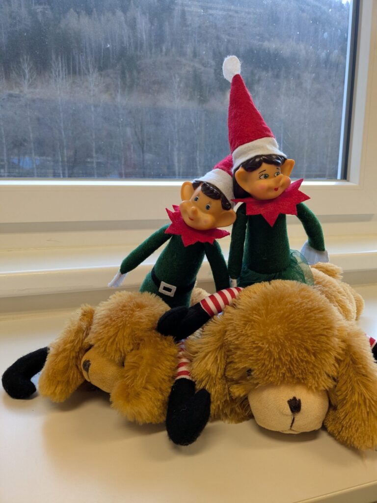 Kinderreha-Maskottchen Optiwuff mit Elfen